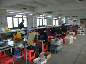 計算器 從電子產(chǎn)品到生活工具——以莆田市涵江區(qū)新怡塑料制品加工廠為視角